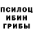 Галлюциногенные грибы Cubensis SuperZamis