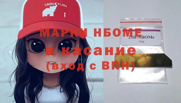 амф Кулебаки