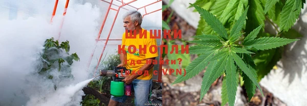 амф Кулебаки