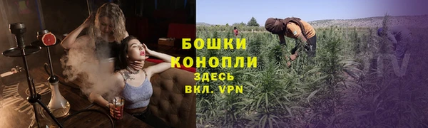 спайс Лабытнанги
