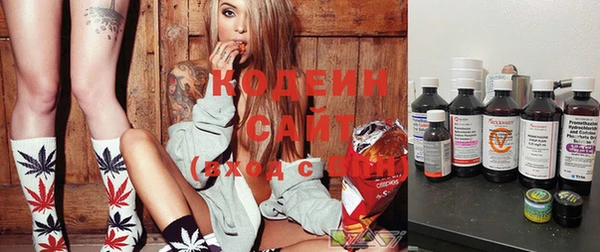 скорость Ладушкин
