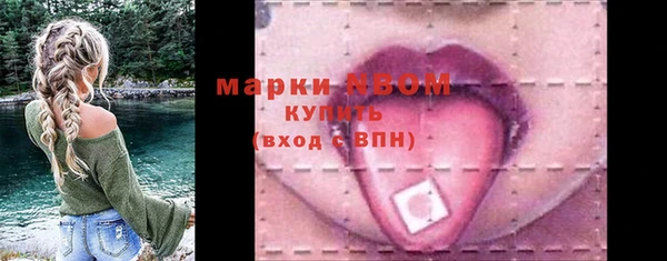 амф Кулебаки